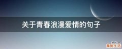 关于青春浪漫爱情的句子