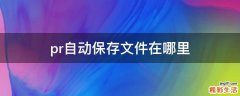 pr自动保存文件在哪里