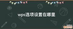 wps选项设置在哪里