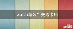iwatch怎么当交通卡用