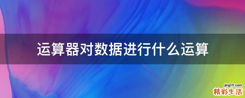 运算器对数据进行什么运算