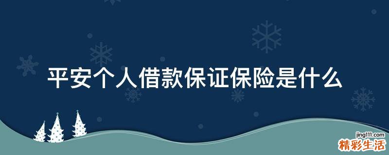 平安个人借款保证保险是什么
