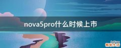 nova5pro什么时候上市