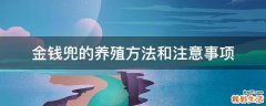 金钱兜的养殖方法和注意事项