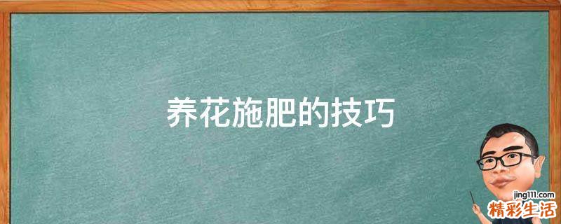 养花施肥的技巧