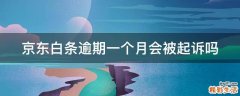 京东白条逾期一个月会被起诉吗