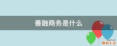 善融商务是什么
