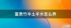 富贵竹半土半水怎么养