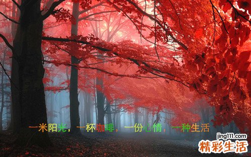 2 上班族午餐:怎一個“飽”字了得