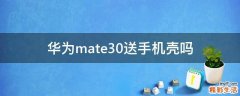 华为mate30送手机壳吗