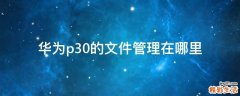 华为p30的文件管理在哪里