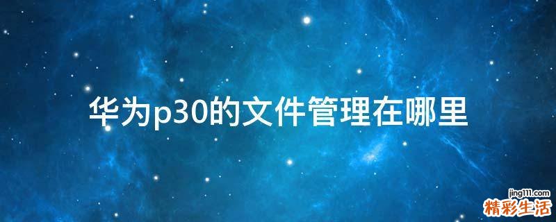 华为p30的文件管理在哪里
