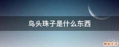 鸟头珠子是什么东西
