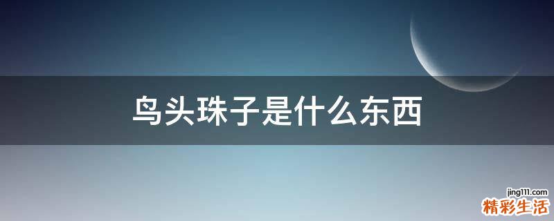 鸟头珠子是什么东西