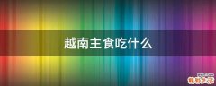 越南主食吃什么