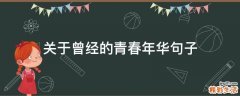 关于曾经的青春年华句子