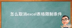 怎么取消excel表格限制条件