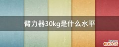 臂力器30kg是什么水平