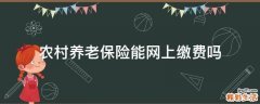 农村养老保险能网上缴费吗