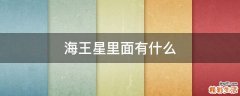 海王星里面有什么