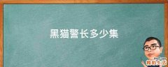 黑猫警长多少集