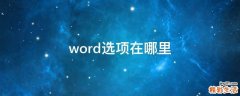 word选项在哪里