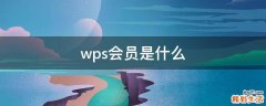 wps会员是什么