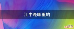 江中是哪里的