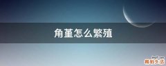 角堇怎么繁殖