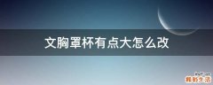 文胸罩杯有点大怎么改