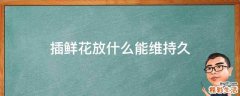 插鲜花放什么能维持久