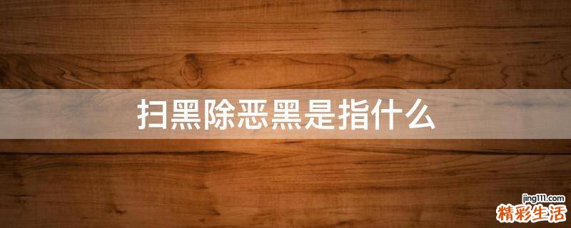 扫黑除恶黑是指什么