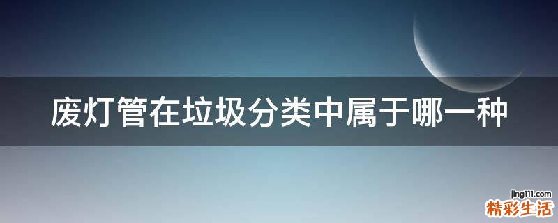 废灯管在垃圾分类中属于哪一种