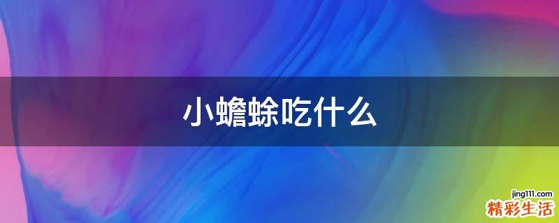 小蟾蜍吃什么