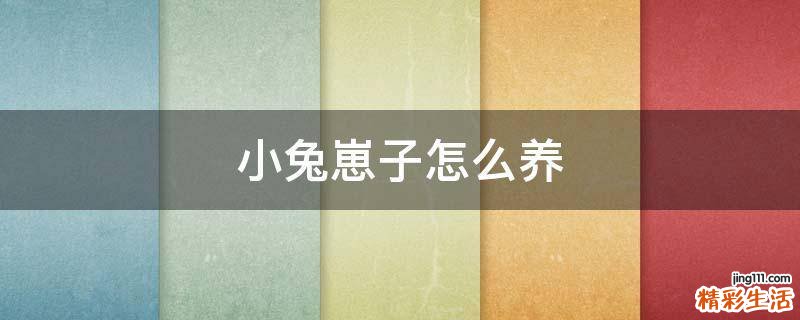 小兔崽子怎么养