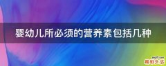婴幼儿所必须的营养素包括几种