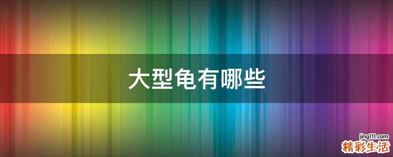 大型龟有哪些