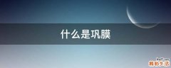 什么是巩膜