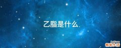 乙脂是什么