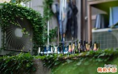 6 春季养生 切勿把养生茶喝成“毒茶”