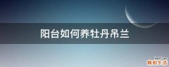 阳台如何养牡丹吊兰