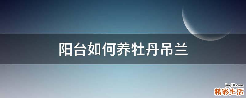 阳台如何养牡丹吊兰