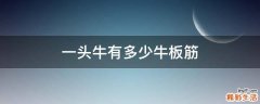一头牛有多少牛板筋