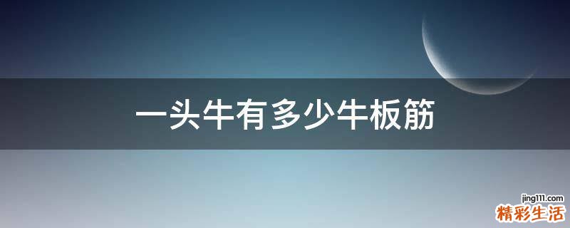 一头牛有多少牛板筋