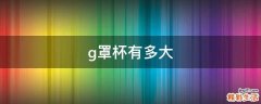 g罩杯有多大