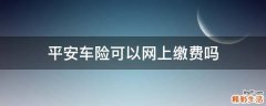 平安车险可以网上缴费吗