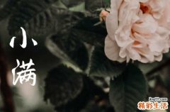 2023小满的空间早安说说 小满节气早安祝福语