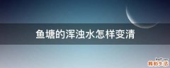 鱼塘的浑浊水怎样变清