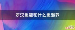 罗汉鱼能和什么鱼混养