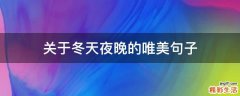 關(guān)于冬天夜晚的唯美句子